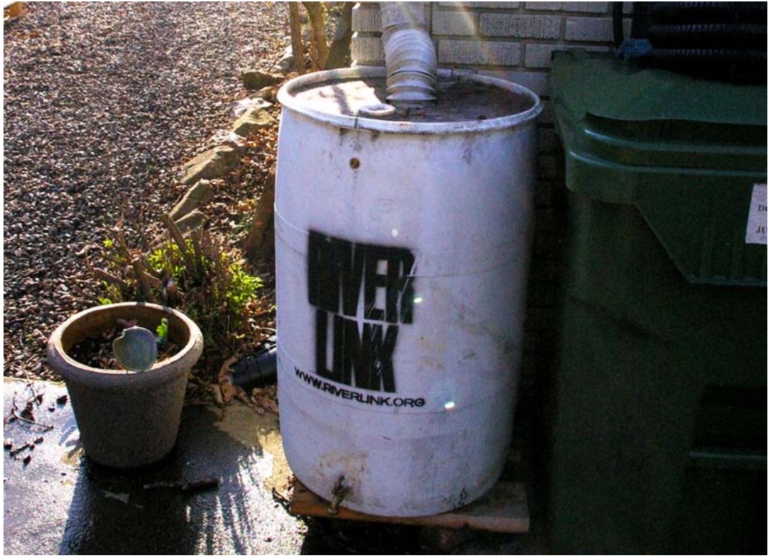Rain Barrel